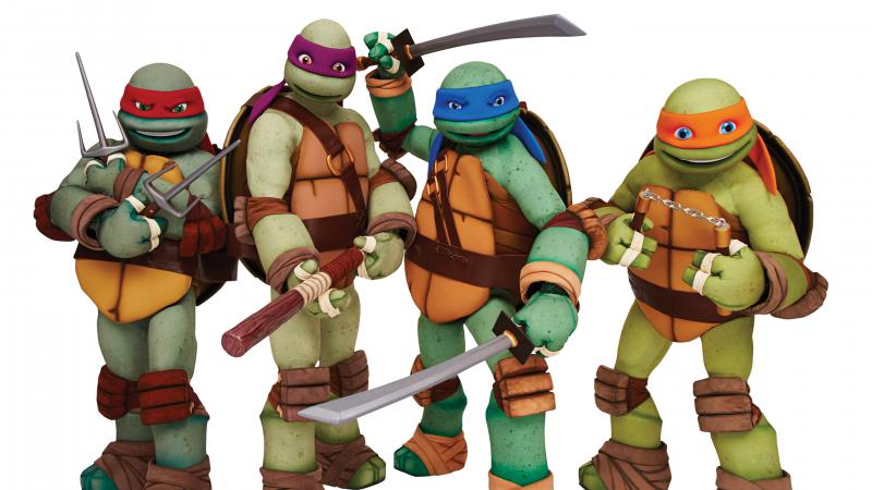 Ninja Turtles Pics 7